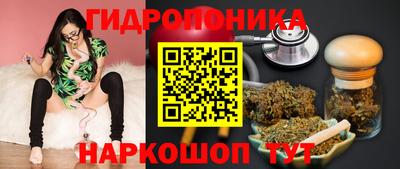 стаф Моздок
